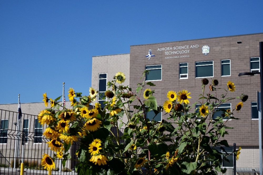 AST 3 with sunflowers-1