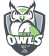 DSST18001-Owls_WhiteFill-170_0