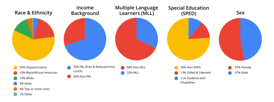 Student Demographics for _By the Numbers_