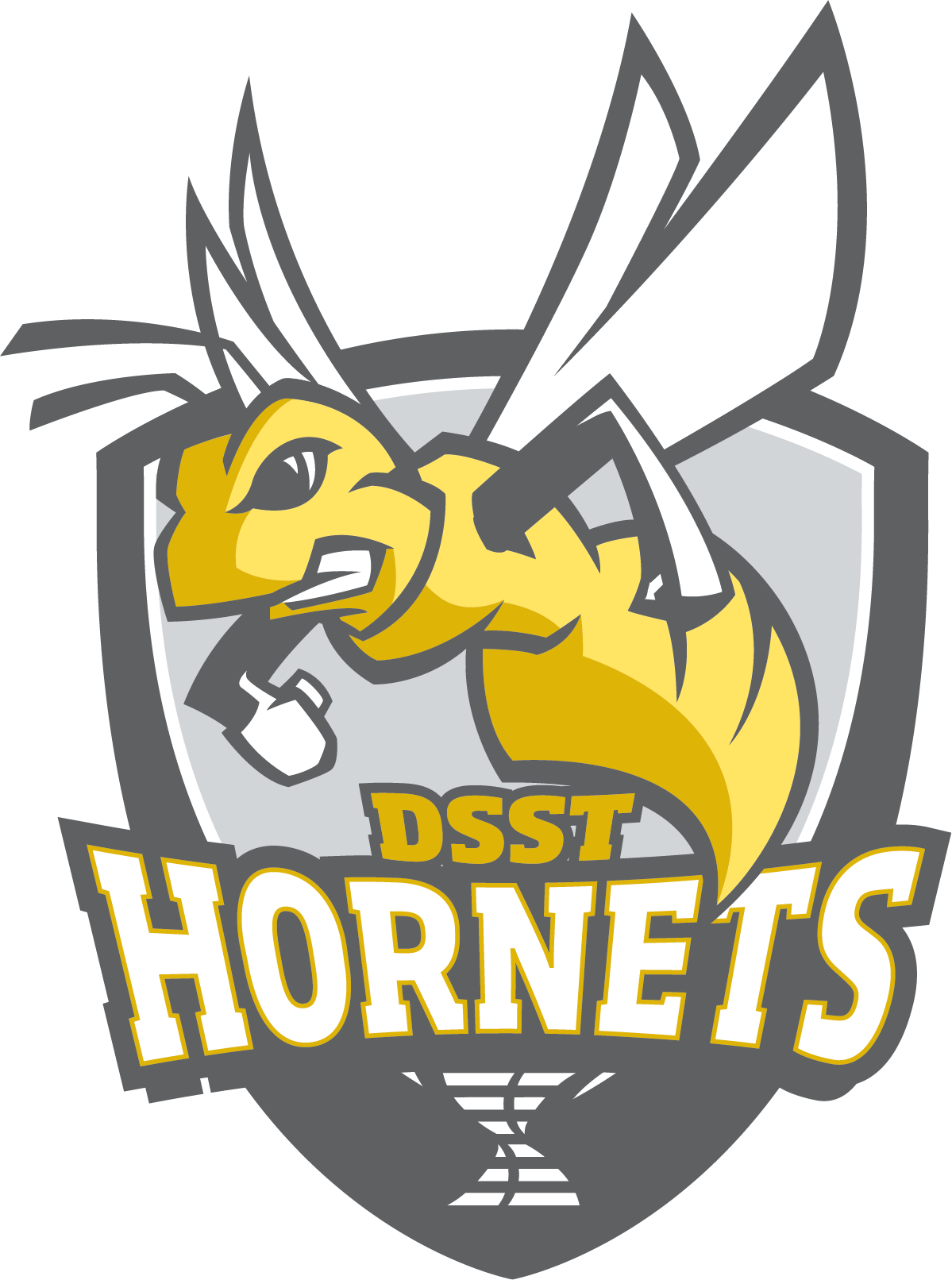 DSST17001-HornetsShield_Logo_REV-1