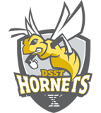 DSST17001-HornetsShield_Logo_REV_300dpi-170
