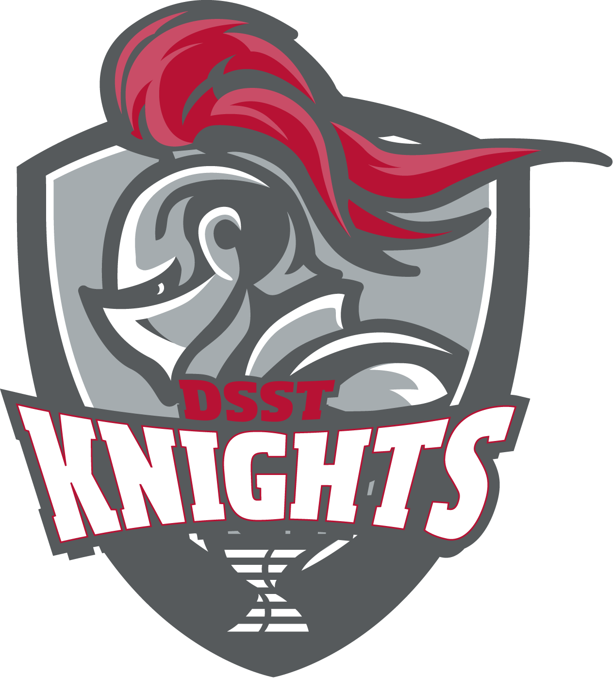 DSST_MTV_KnightRGB